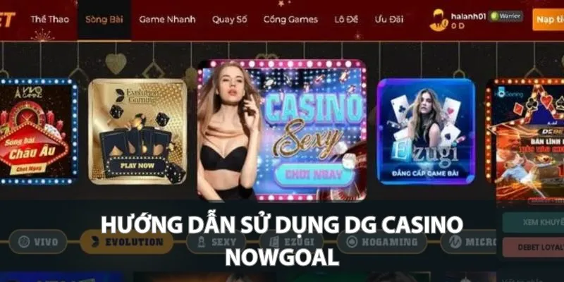 Hướng dẫn sử dụng DG Casino Nowgoal